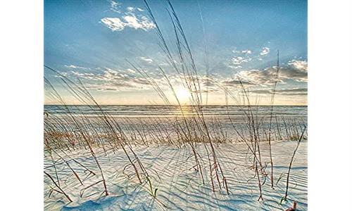   Roll over image to zoom in   Among the Grass Robert Jones Photography Coastal Ocean Beach Sunrise Sunset 